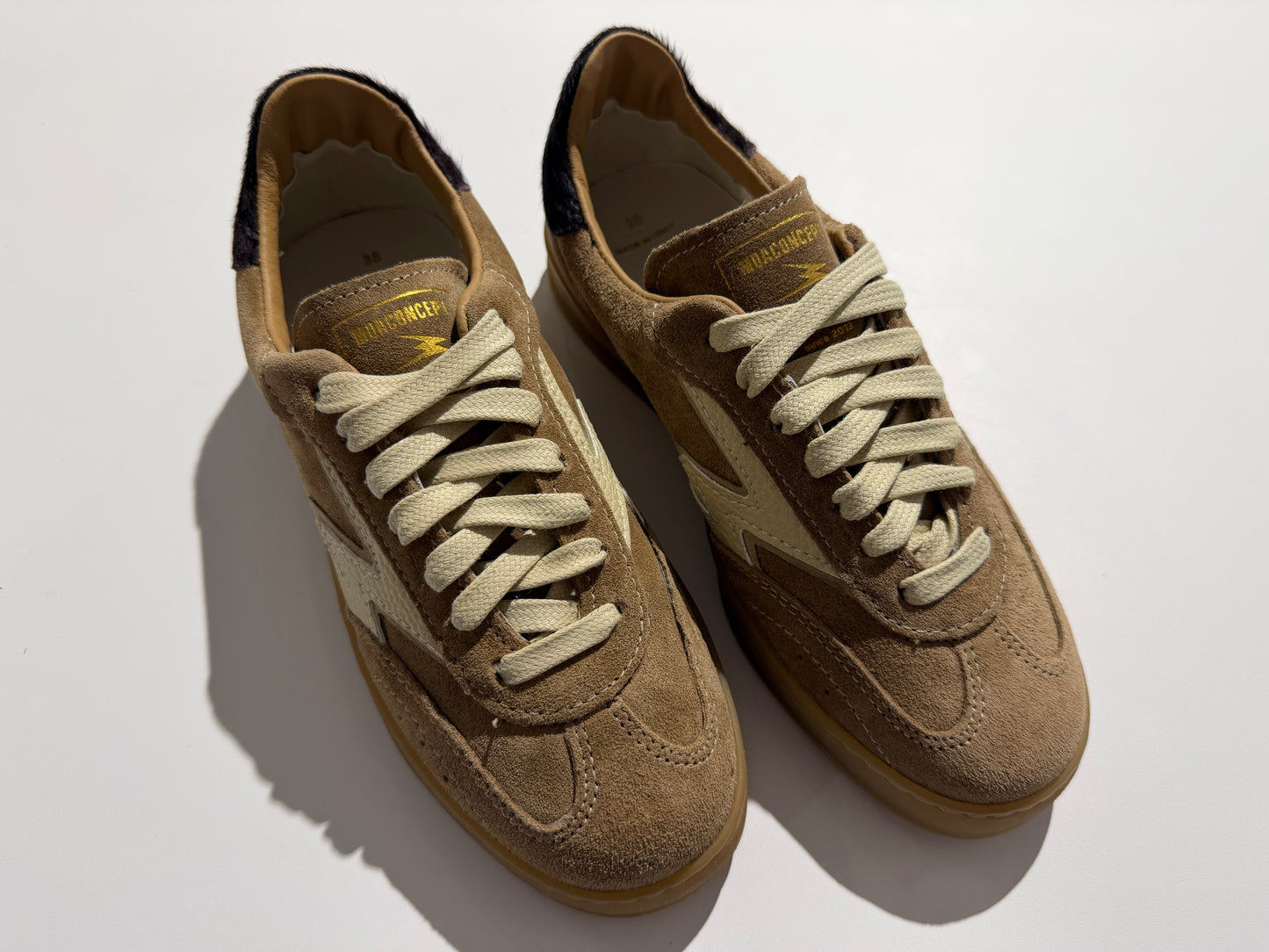 Basket Moa concept CL 321 club brown suede bordeaux