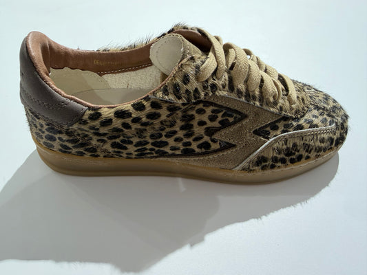 Basket Moa concept CL 326 club deluxe black spotted